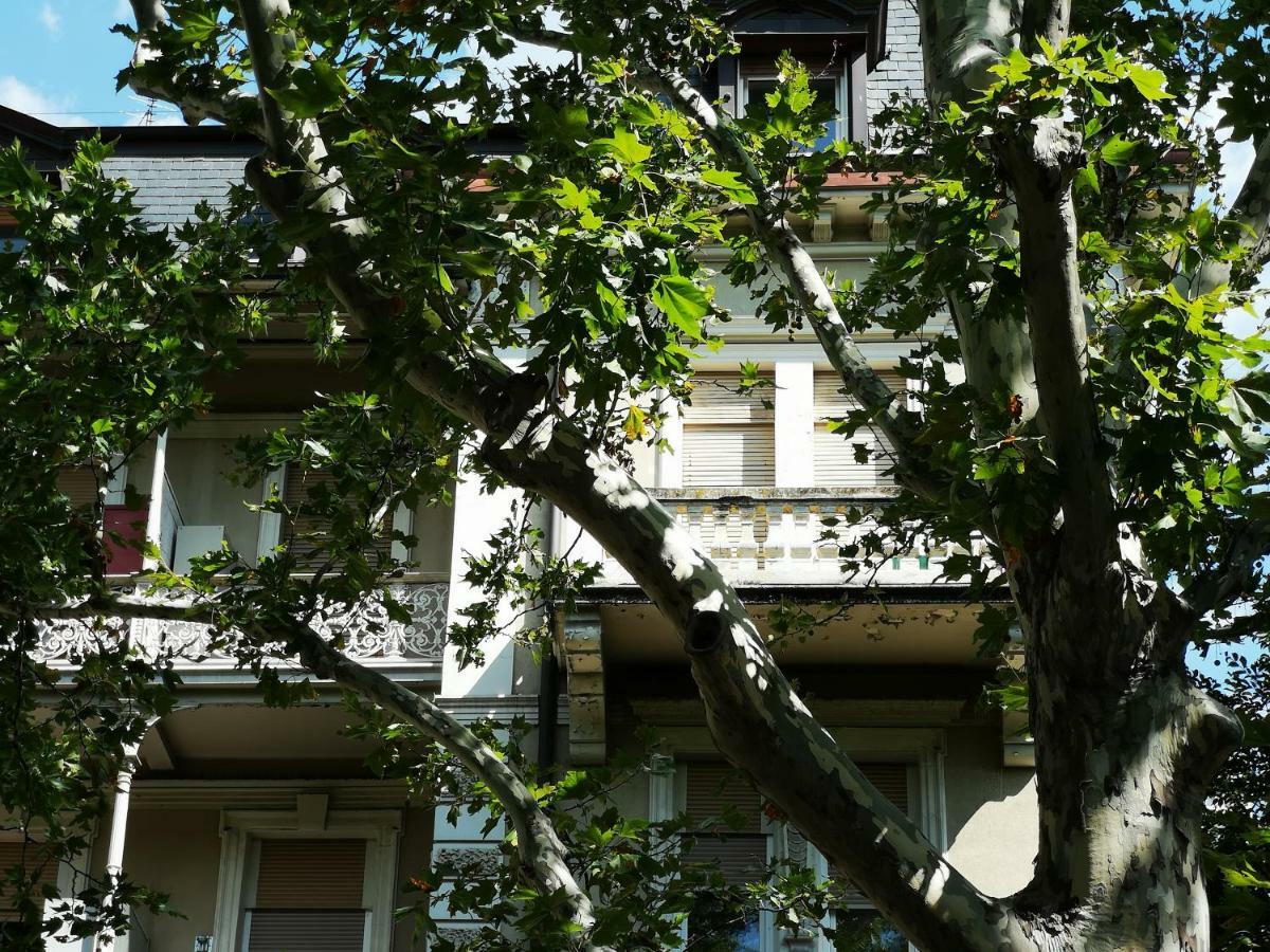 Spazioso E Accogliente Nel Centro Di Merano Exteriör bild